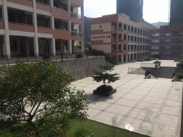 安溪县第八小学图片