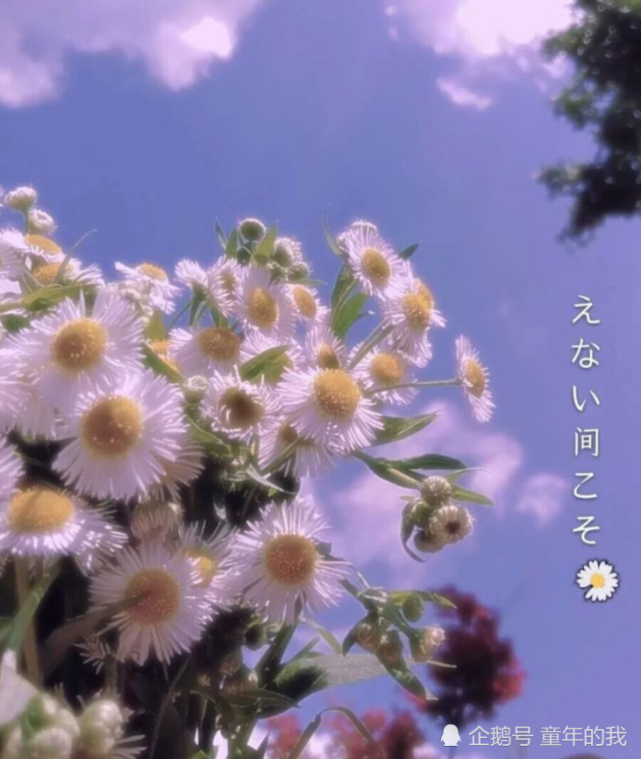 宝藏·背景图:要把你的温柔,交付给能察觉你小情绪的男孩子!