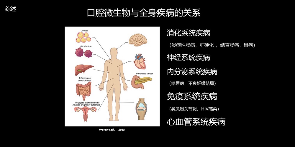 腸道陳峰無視口腔菌群不談腸道和全身健康