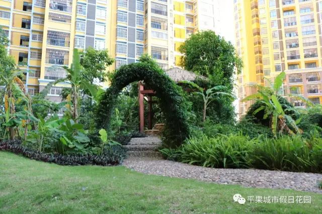 【城市假日】小伙伴们期待的"套鹅"活动开始啦,集赞领套鹅券吧_平果