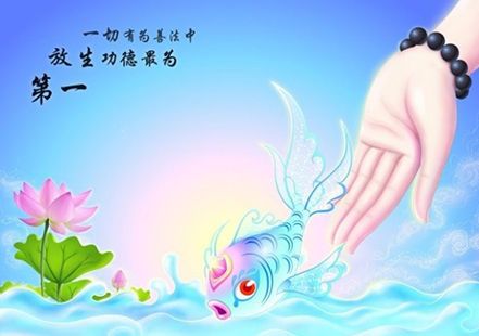 有一个周末,我们又准备放生鱼,所以,早上6点多就赶