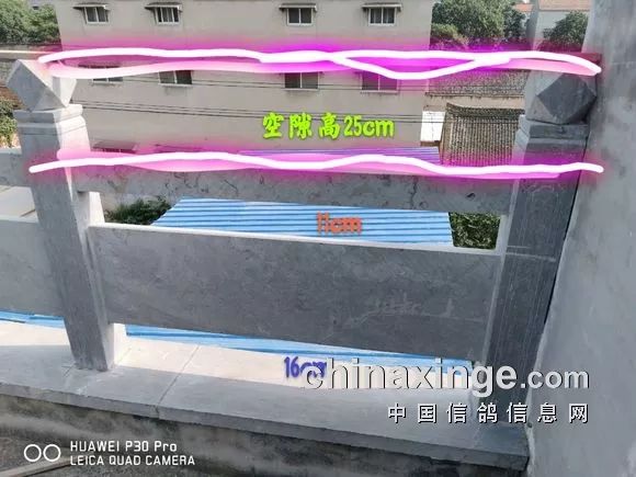 新人的困惑鸽子窝这么建可以么