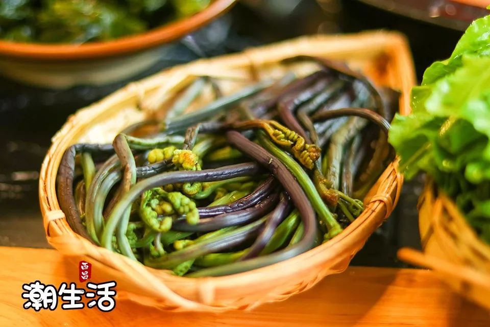 不可错过的涮菜 蕨菜 烫熟的蕨菜更加诱人,入口脆嫩, 来一根,再来