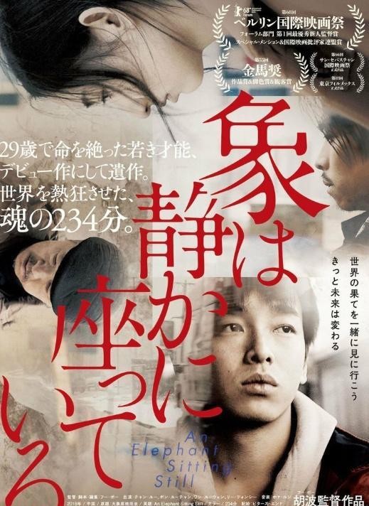 彭昱畅大象席地而坐日本定档看到日版海报后又爱上了彭彭
