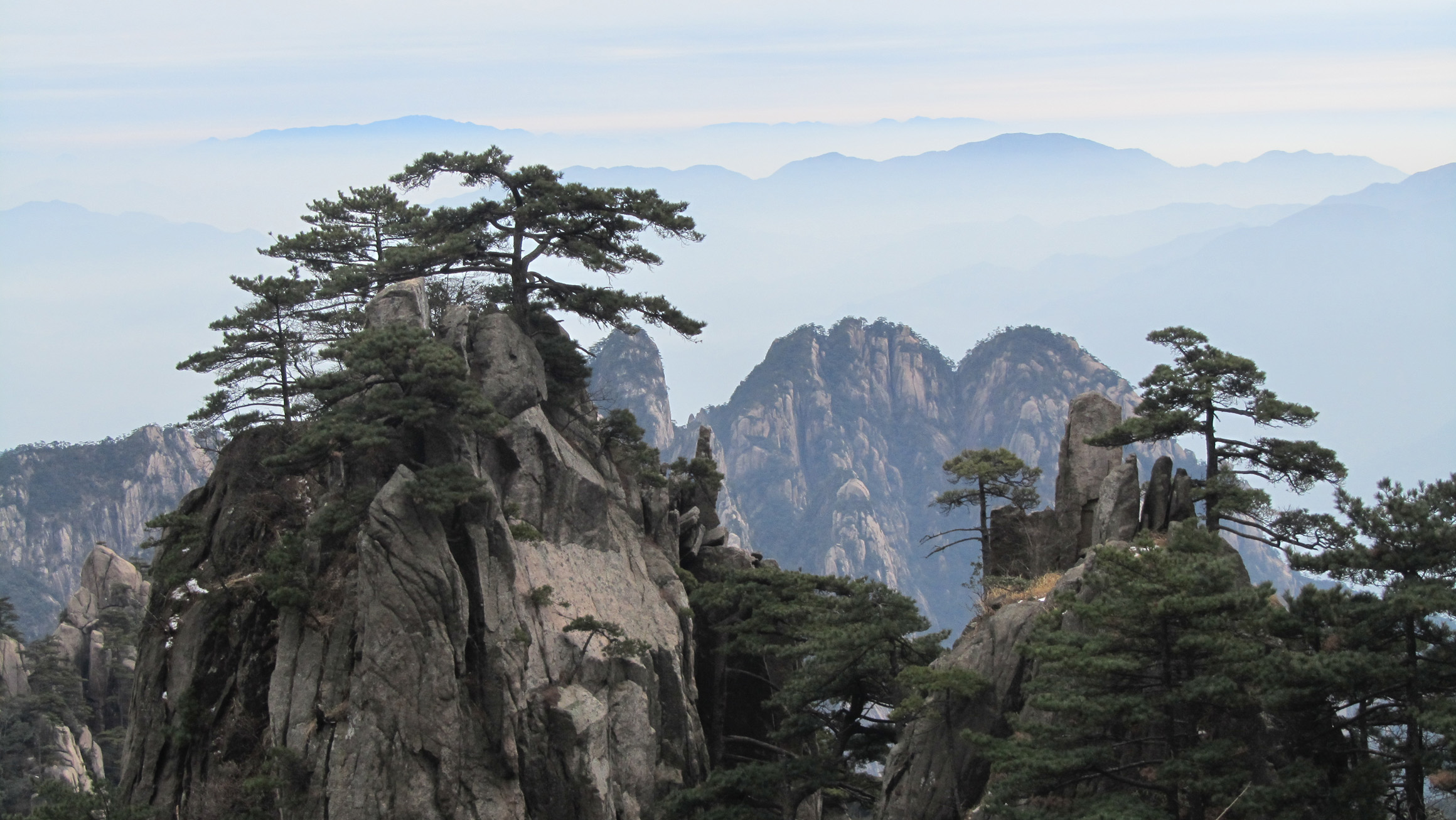 名轩堂生肖狗明后年运气如何呢