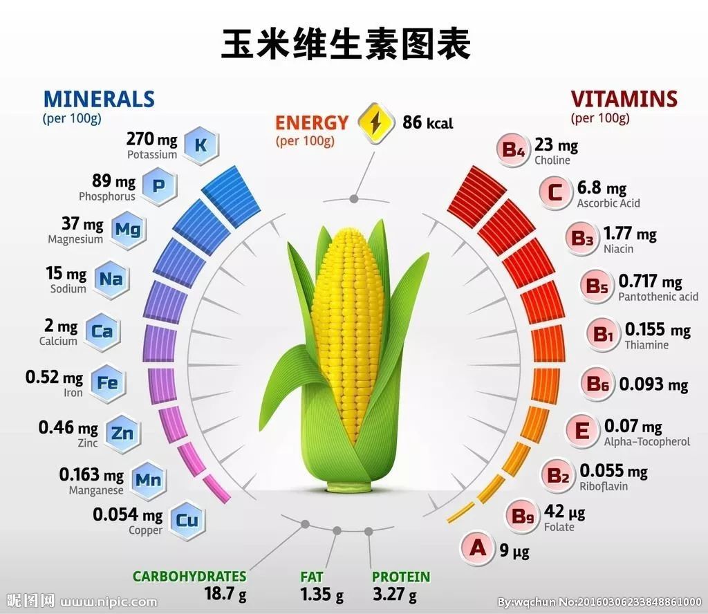 玉米100克营养成分表图片