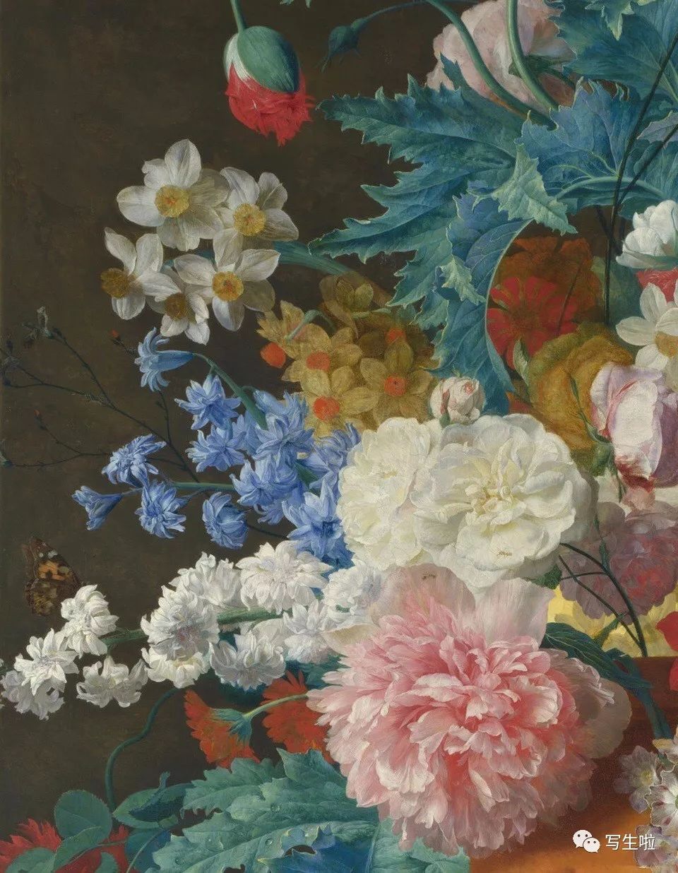 【写生啦】惊艳细节丨荷兰画家jan van huysum花卉作品