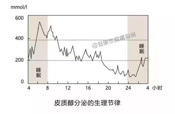 壓力狀態下身體需要皮質醇來維持正常生理機能;如果沒有皮質醇.