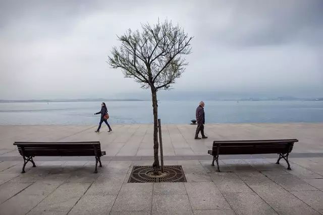 摄影之美在变化而有秩序的关系中