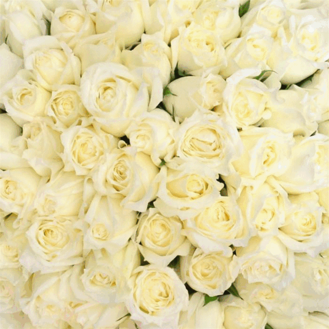 30元 /20支康乃馨,红豆,粉豆,百合花/ 15元一大把满天星25元一大把