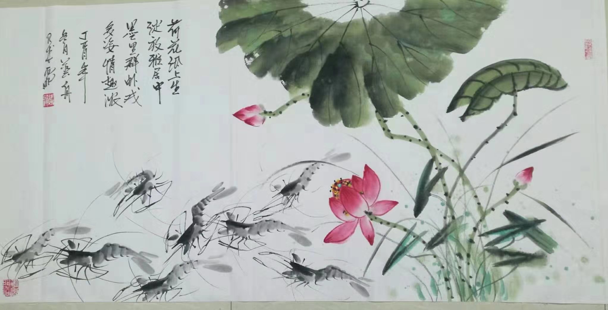 中国最擅长画虾的画家图片