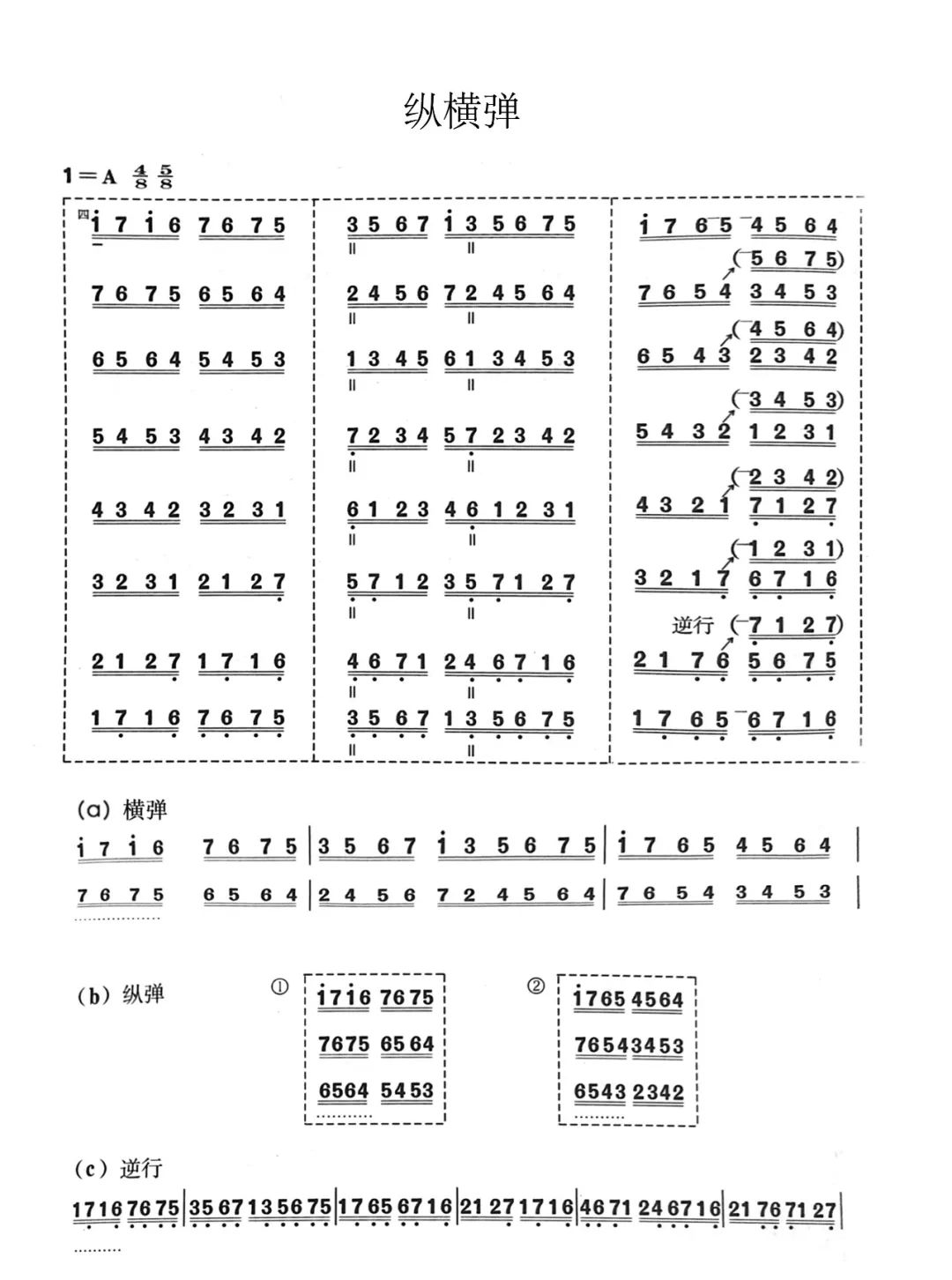 新爱琴从零开始学琵琶第85课七级练习曲纵横弹