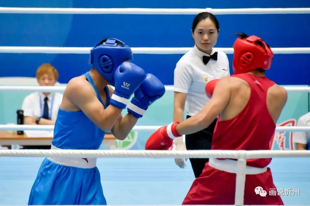 二青会拳击赛精彩瞬间俱乐部组裁判风采