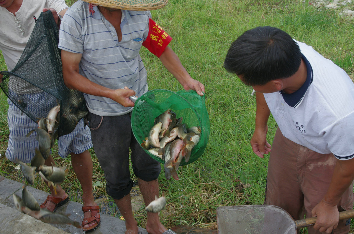 麻江乐坪村举办首届稻花鱼文化旅游节