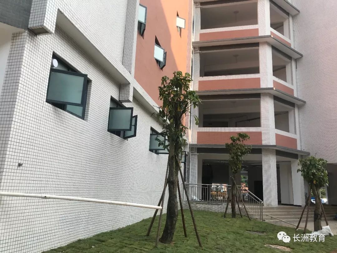 谢常委指出:凤翔小学是梧州市的重点民生工程,施工方,教育局,校方要