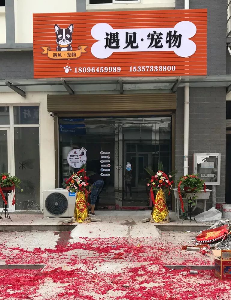 推广源潭首家宠物店25日开业啦充值送泰迪或比熊