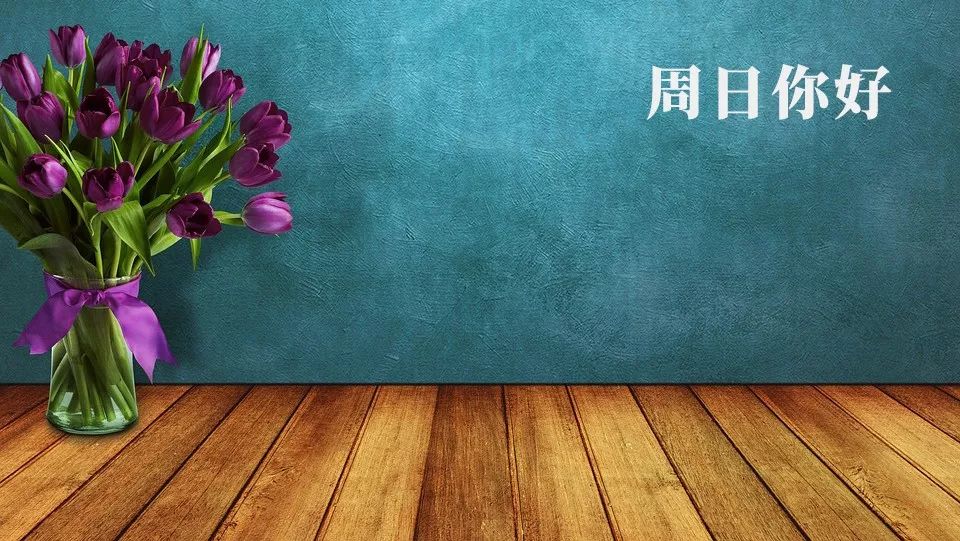 周日你好,周日早安,又是美好的一天!