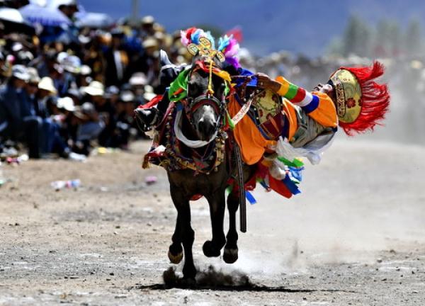 西藏林周:策马欢庆望果节
