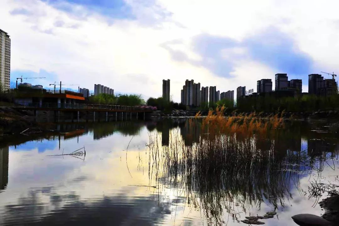 美景丨在武威海藏湖溼地公園仙境般的存在