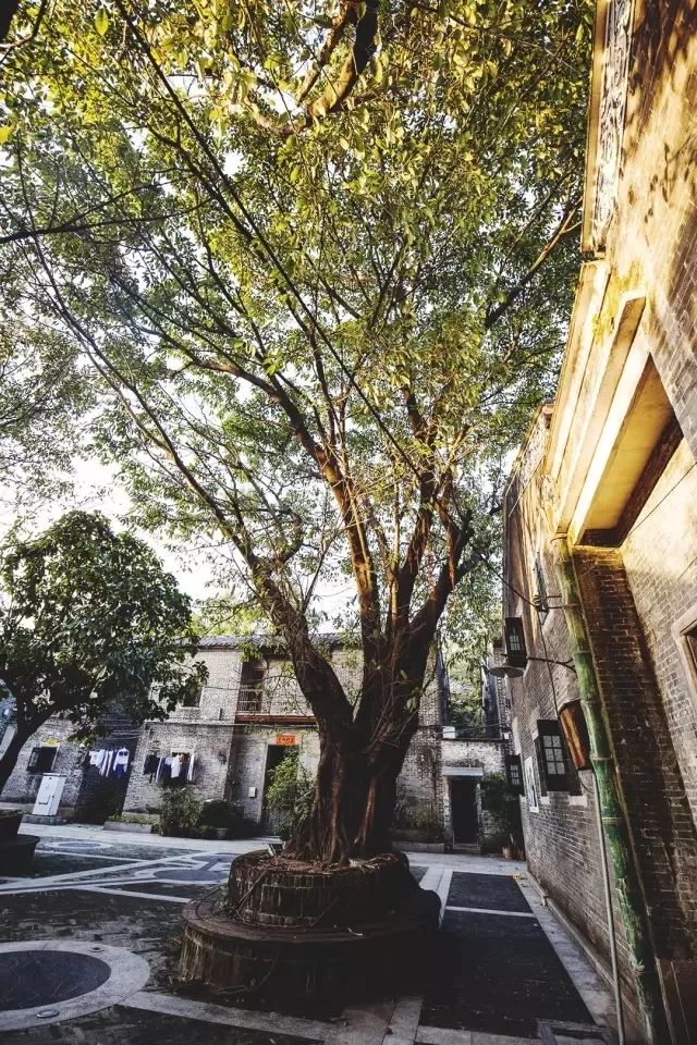 论是荒村还是芳村是芳村区还是荔湾区依然陪伴着我们目前芳村处在新旧