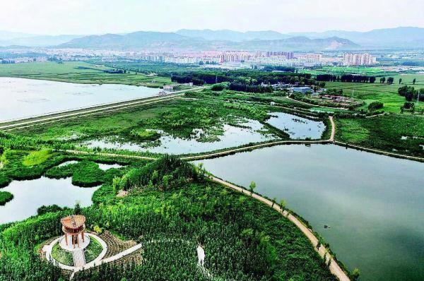 近日无人机拍摄的广灵县城旁的壶流河湿地.