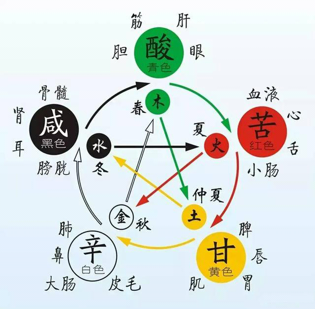 时间|刘先银经典点说《黄帝内经》的时间哲学，《道德经》反者道之动，弱者道之用