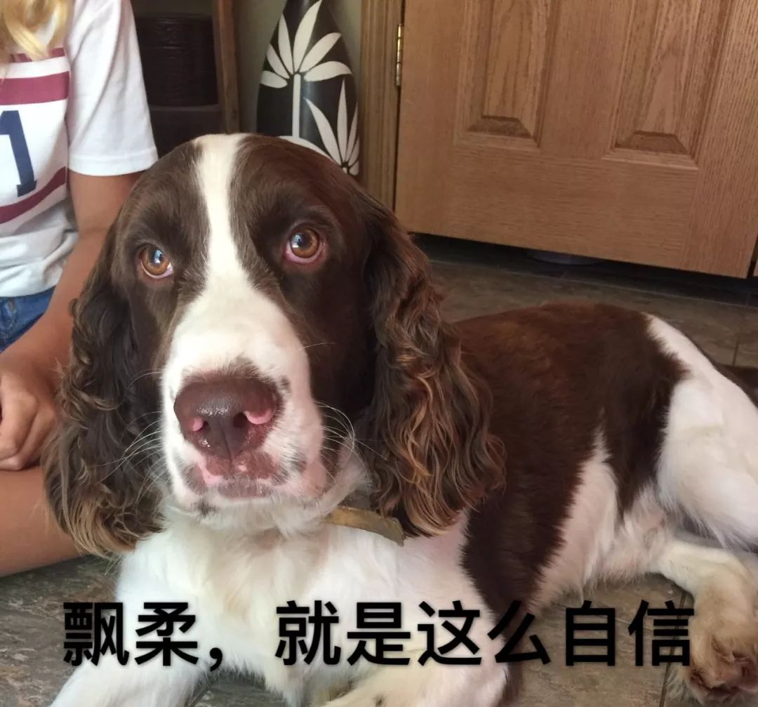 朋友圈的渣女大波浪竟然是狗毛冒充的