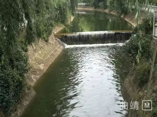 陆良四目河里打捞上来的东西有些人会脸红