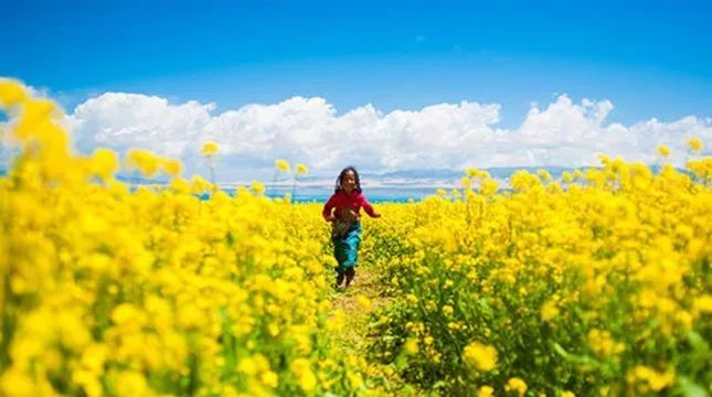 大西北旅游的感慨,发朋友圈_大西北旅游的感慨,发朋友圈说说