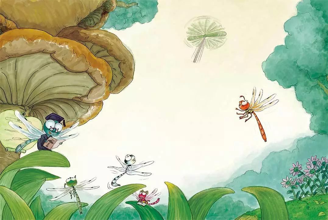 点水蜻蜓款款飞