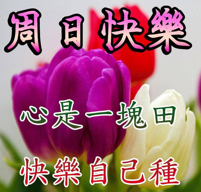 周日早安祝福图片带字图片