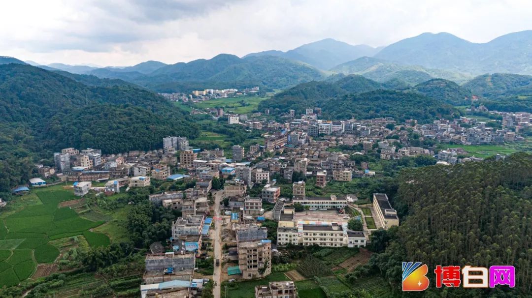 【小编推荐】俯瞰麻竹之乡博白浪平镇,万亩青翠竹林让人心旷神怡!