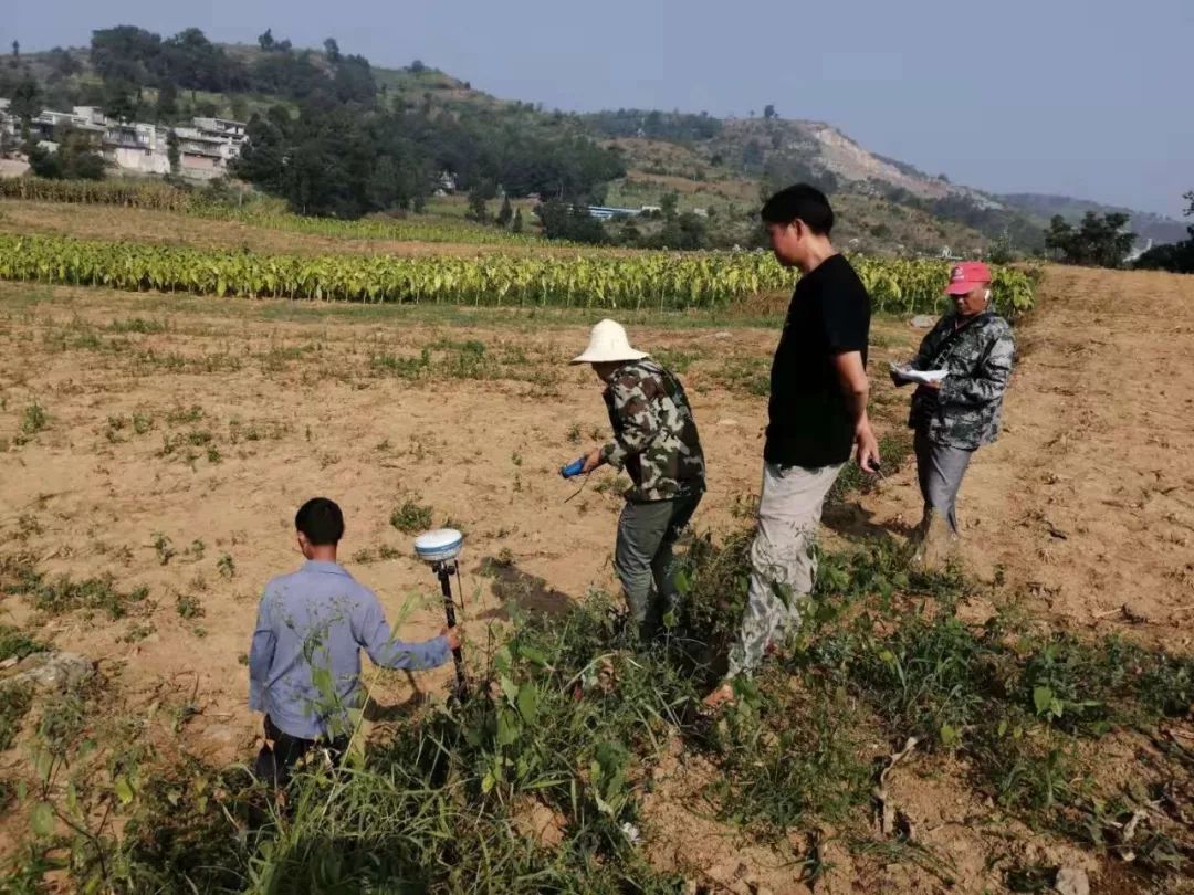 理化乡:烈日下,地块间,土地丈量进行时!_测量