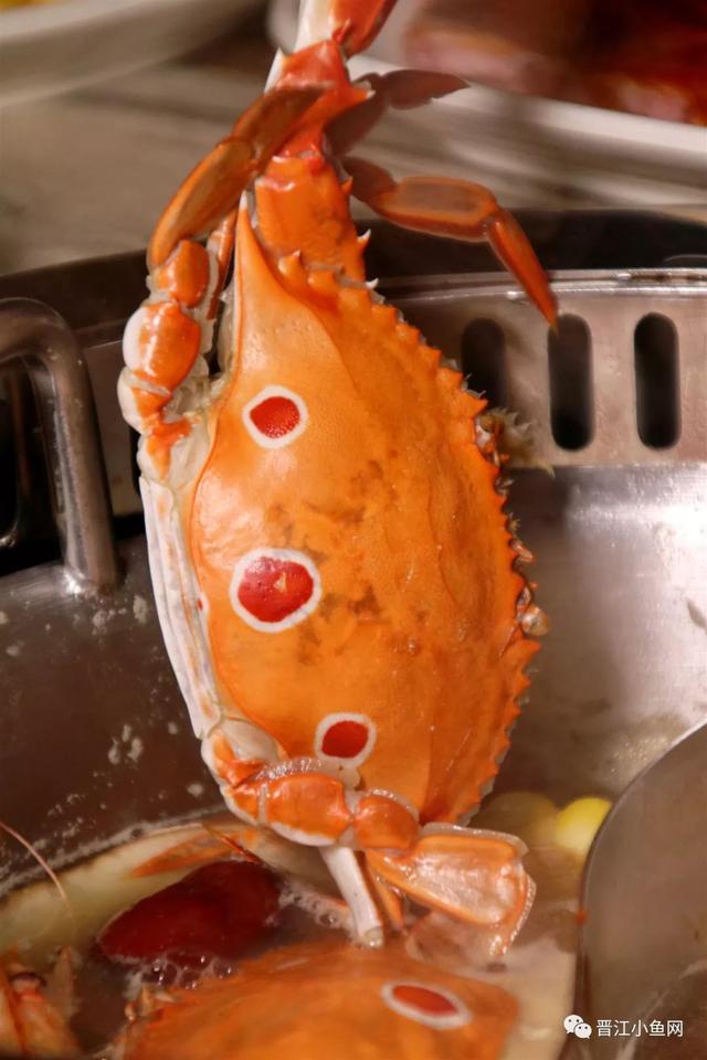 自助的好处就是完全不用担心荷包里的毛爷爷不够,尽管挑贵的拿!