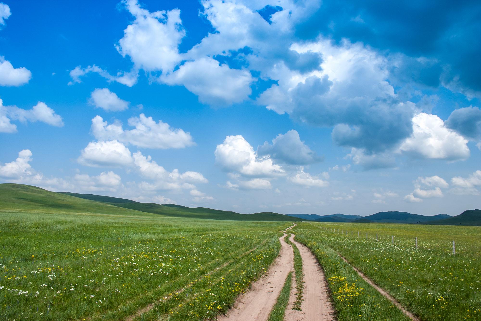 内蒙古有九个大草原你知道都是哪些吗