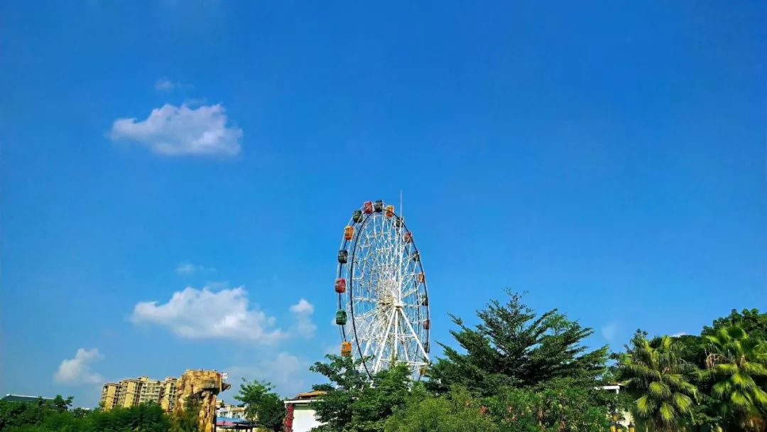 摄摄摄xjw)蓝色玫瑰湖蓝色七中蓝色凤凰广场梧州的蓝是大自然对我们的