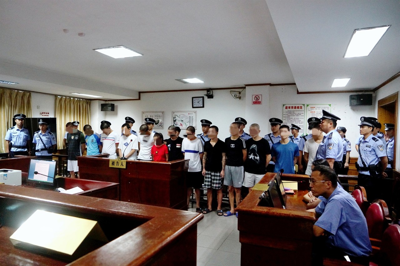 公开开庭审理了李某,廖某葆,刘某,邢某详,肖某,郑某玲,范某华,杨某浩