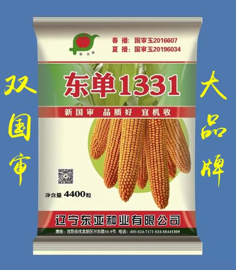 我家东单1331最好