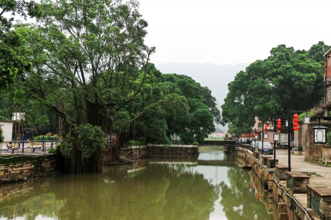 美丽文明村居西樵这条村古韵悠悠世美得犹如世外桃源