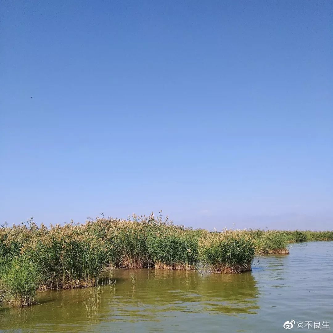 那是紫霞仙子一开场就撑着木筏从芦苇荡里缓缓现身的湖,也是她握着紫