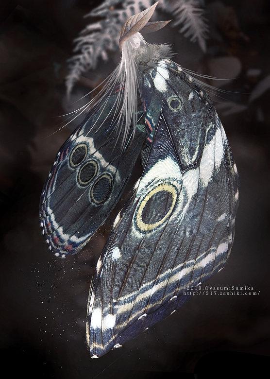 美丽的蝴蝶拟人图