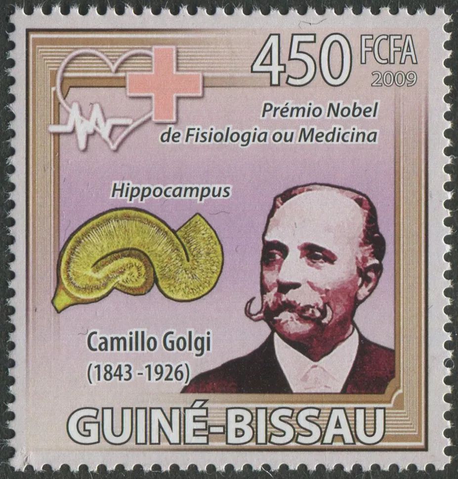 1906年诺贝尔生理学或医学奖获得者高尔基,高尔基头像以及他亲手绘制