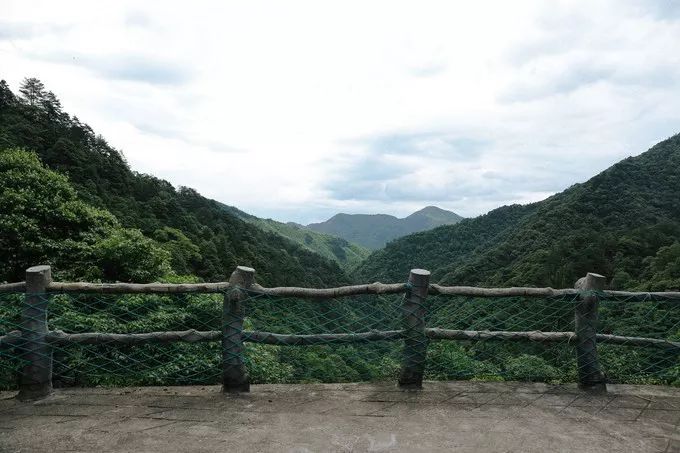 北纬27的避暑胜地穿越原始森林登温州之巅