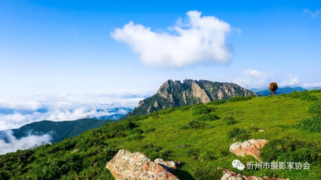 【行摄天下】第九十七辑:山西芦芽山雨后现云海奇观