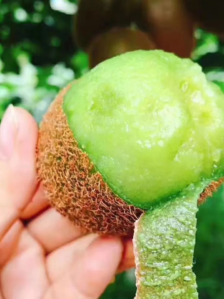 30元/箱 源产地直供味道不一般!