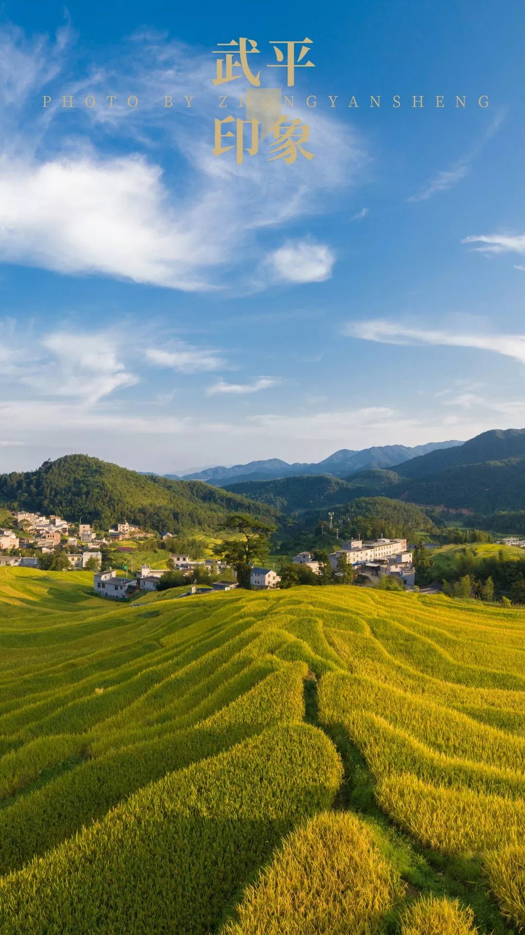 "武平印象"专属手机壁纸首发:他拍的不是照片,是壁纸!