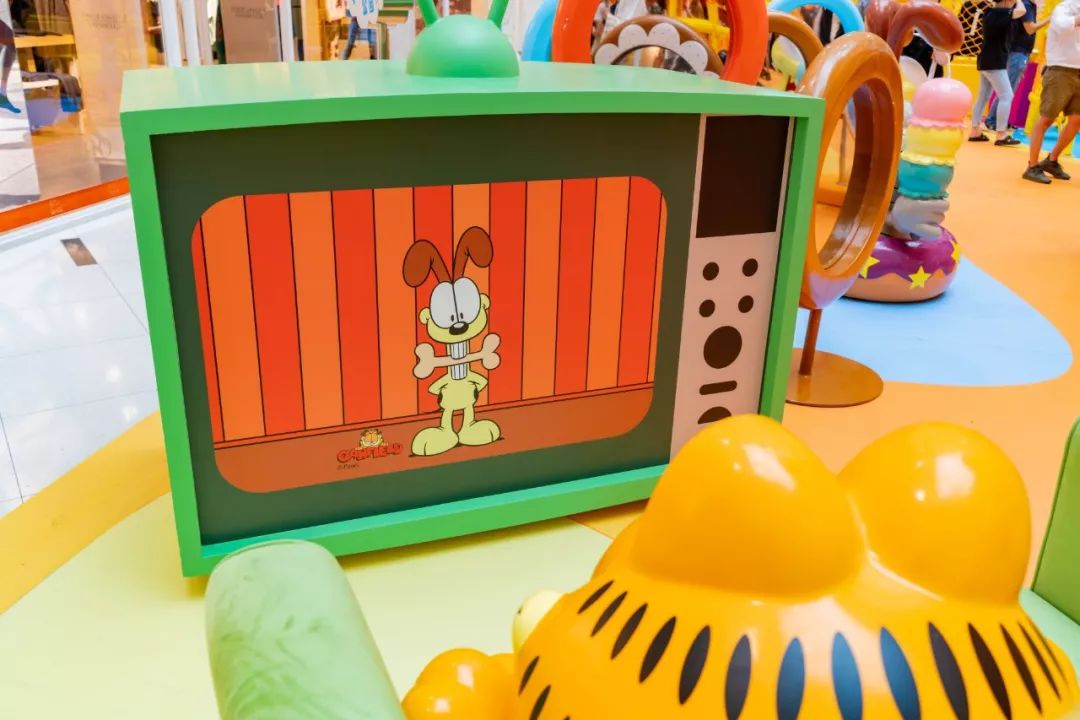 萌度100躲进虹桥南丰城和加菲猫做一整天的白日梦