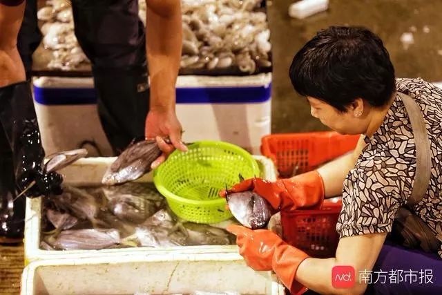 吃不起豬肉不如來凌晨兩點的廣州魚市場看看