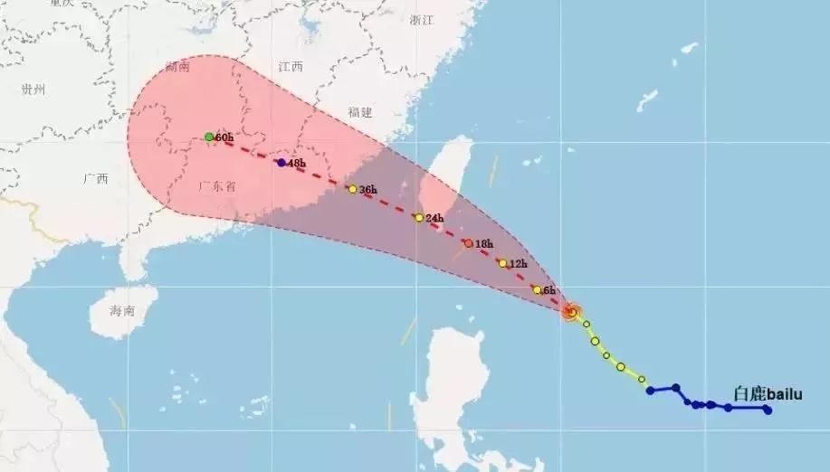 【通知公告】"白鹿"台风来袭