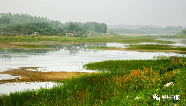 向全国推介郑州之荥阳市这里是和美荥阳